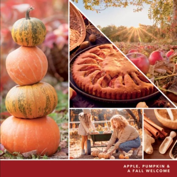 YANKEE CANDLE Pumpkin Season Lover Gift Set 3 Mini Candles NIB - Picture 5 of 6